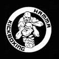Read more about HAMMA Gym's comprehensive Kickboxing classes
